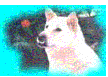 r:  